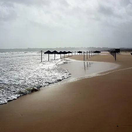 Апартаменты Casa Praia Mar, - Beachfront Jacaranda